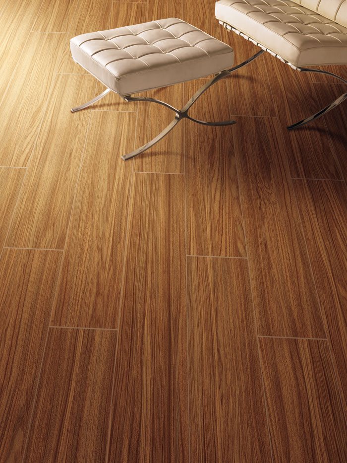 最美，不外当阳光赶上丛林