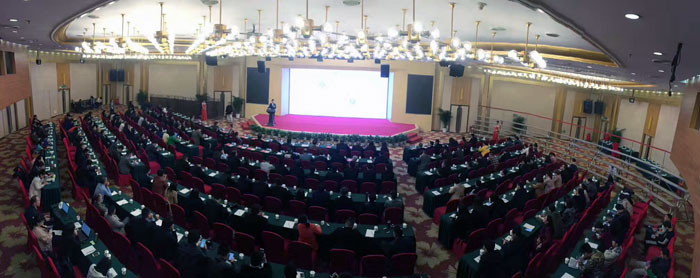 PP电子·仿照器(试玩游戏)官方网站