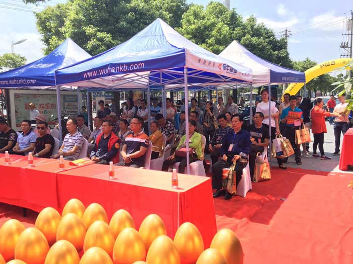 pp电子瓷砖 瓷砖代理 陶瓷一线品牌