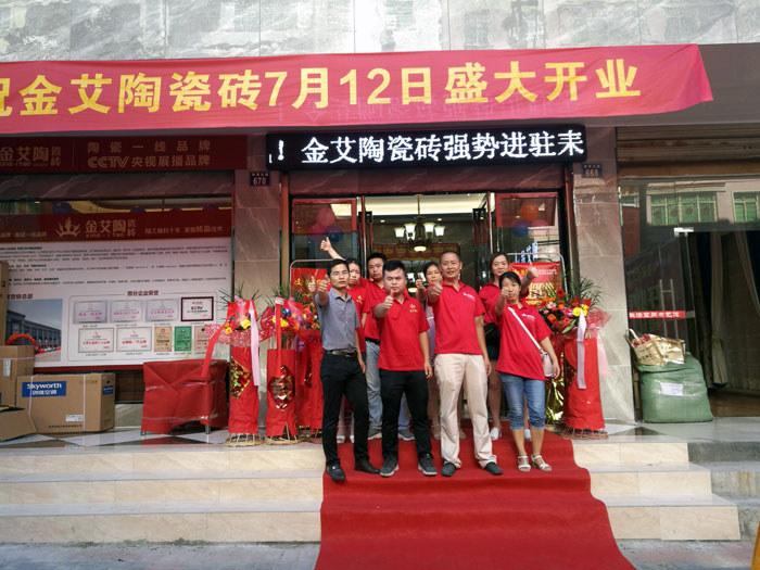 pp电子瓷砖 瓷砖代理 陶瓷一线品牌 开业促销