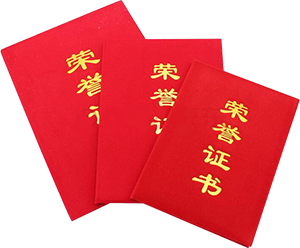 PP电子·仿照器(试玩游戏)官方网站