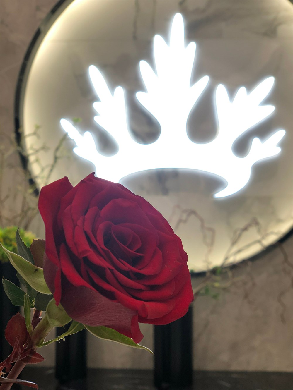 PP电子·仿照器(试玩游戏)官方网站