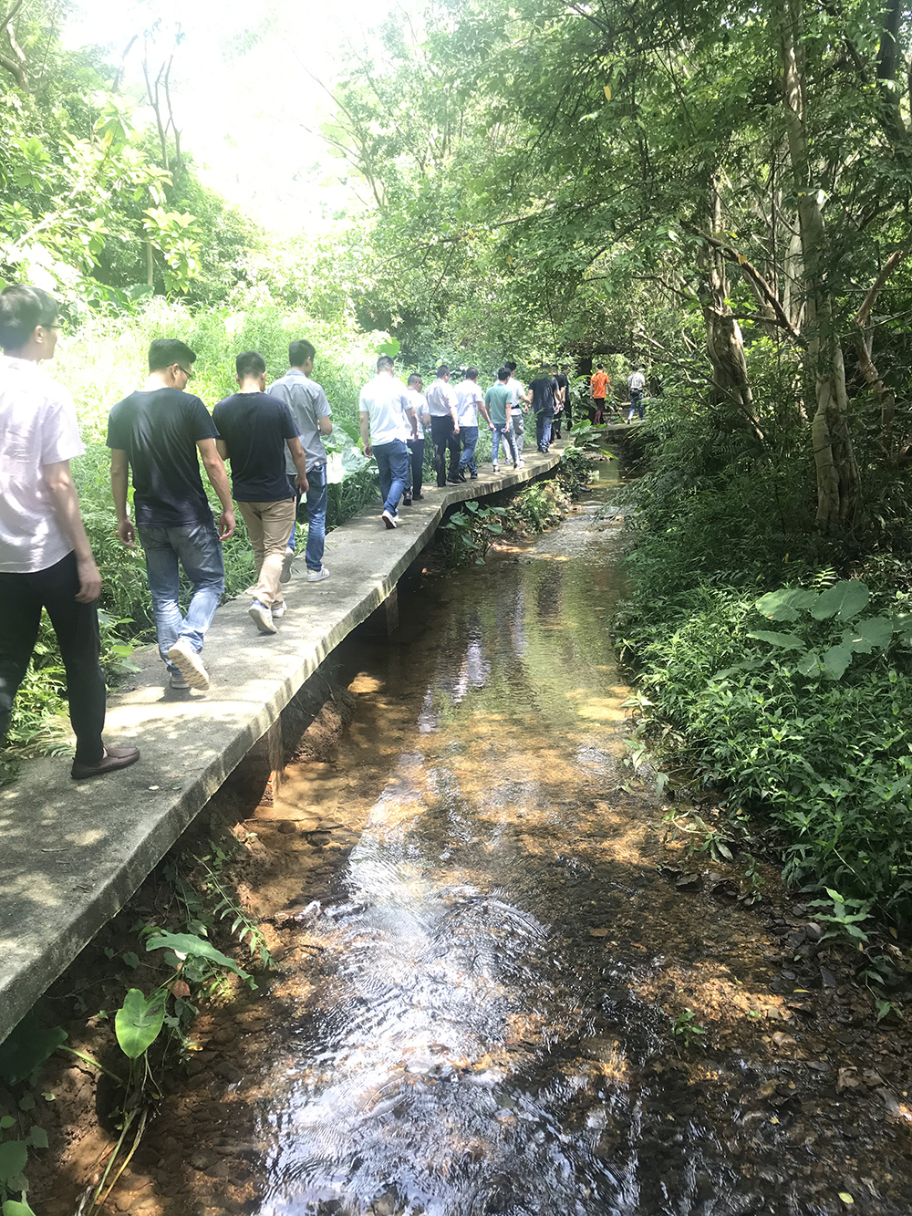 PP电子·仿照器(试玩游戏)官方网站