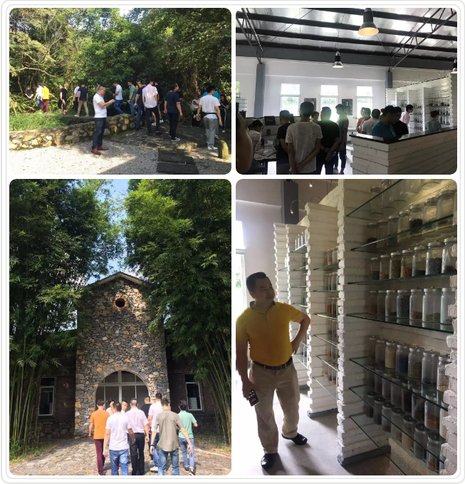 PP电子·仿照器(试玩游戏)官方网站