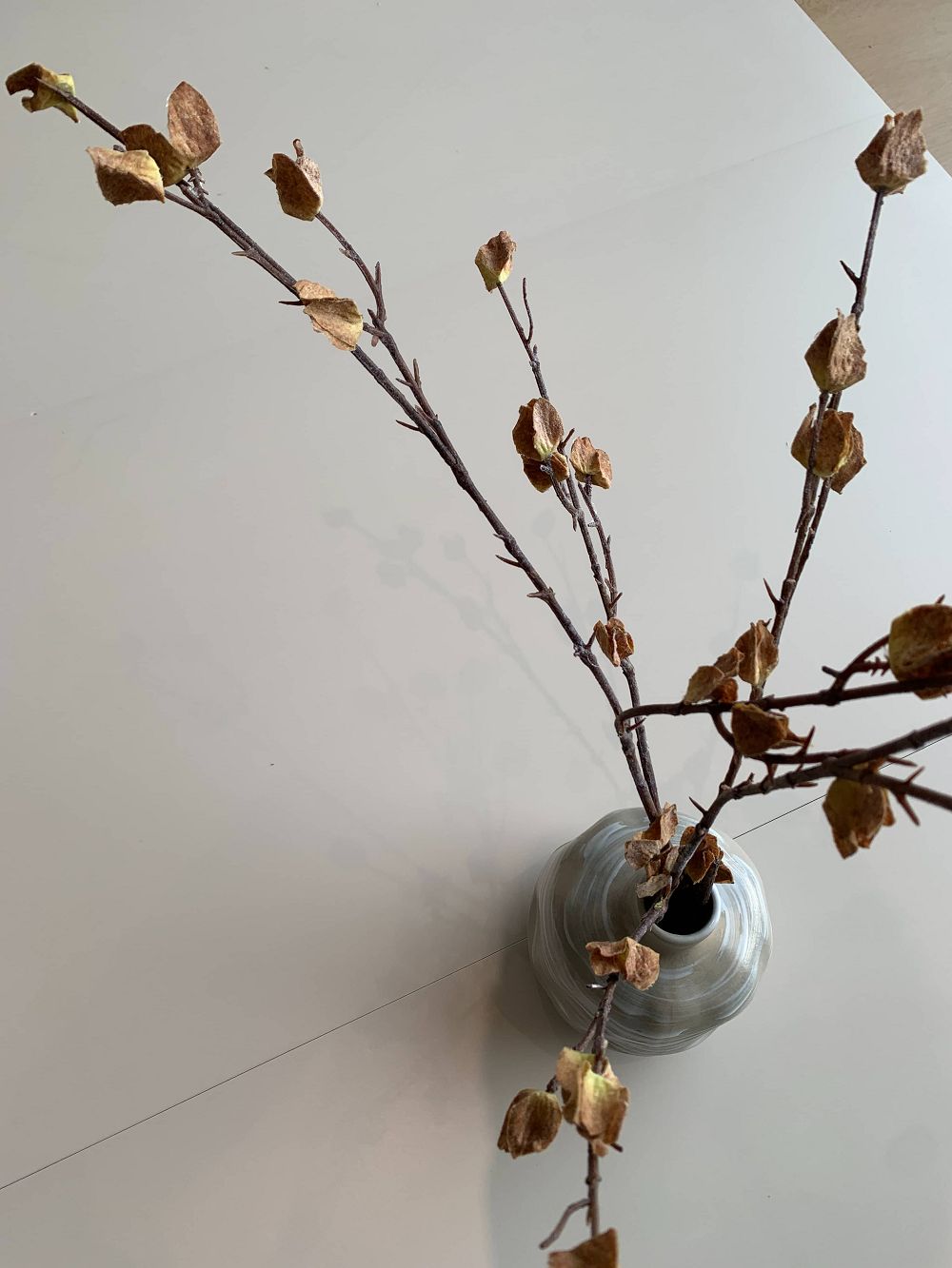 PP电子·仿照器(试玩游戏)官方网站