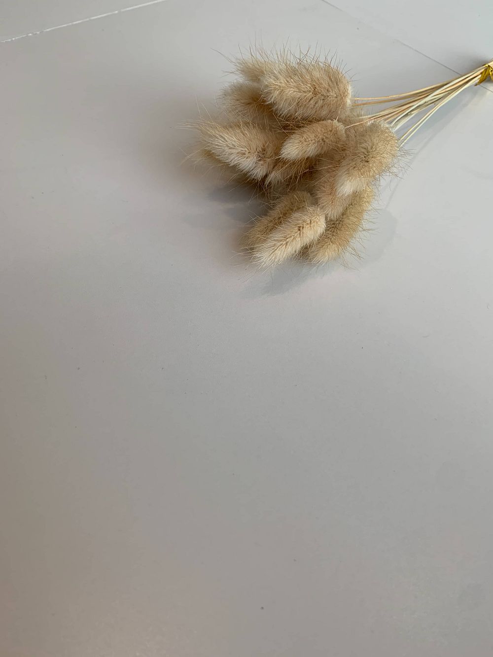 PP电子·仿照器(试玩游戏)官方网站