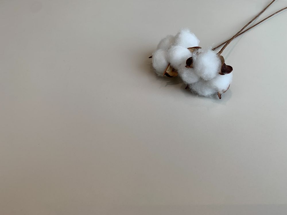 PP电子·仿照器(试玩游戏)官方网站