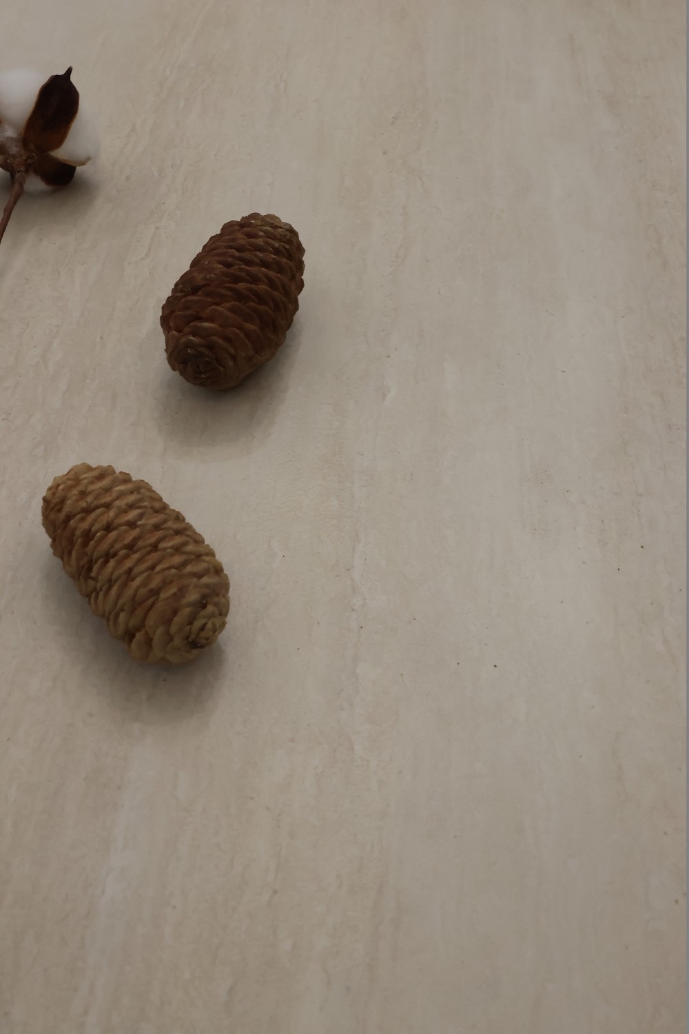 PP电子·仿照器(试玩游戏)官方网站