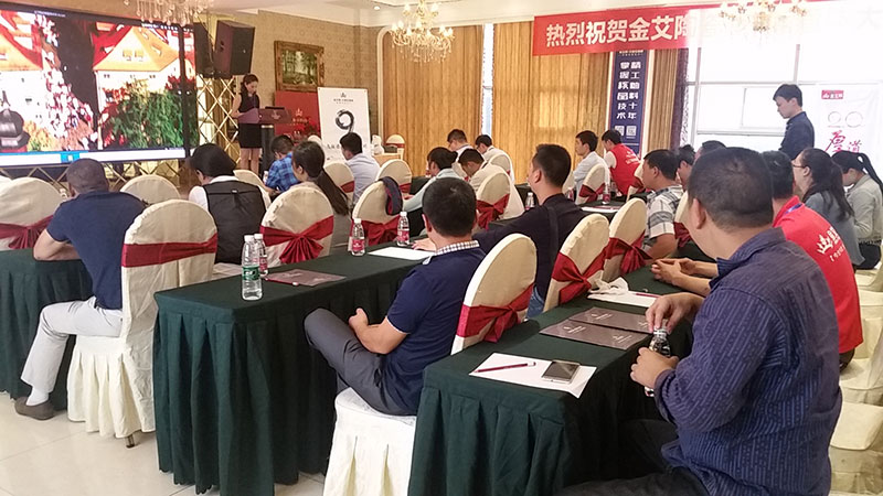 3D系统·设计不求人暨9面通体大理石颁布会－沉庆站